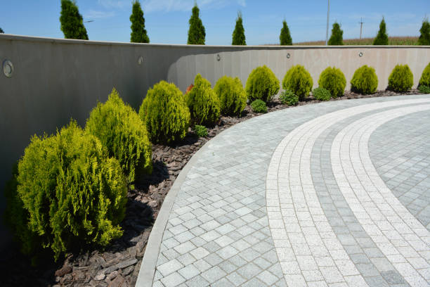 Reasons to Select Us for Your Driveway Paving Requirements in Hampstead, NC